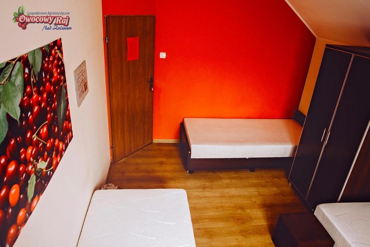 Owocowy Raj Nad Zalewem Modla Krolewska Exterior foto